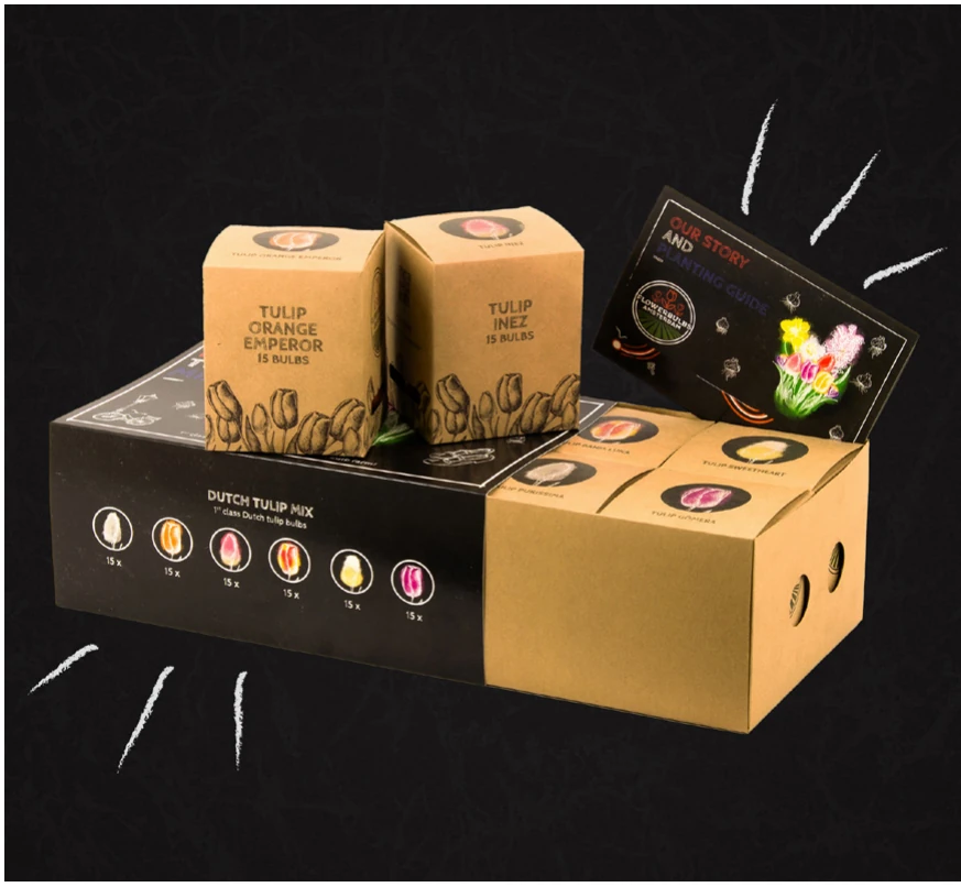 Flowerbulbs Amsterdam tulip packaging boxes on black.